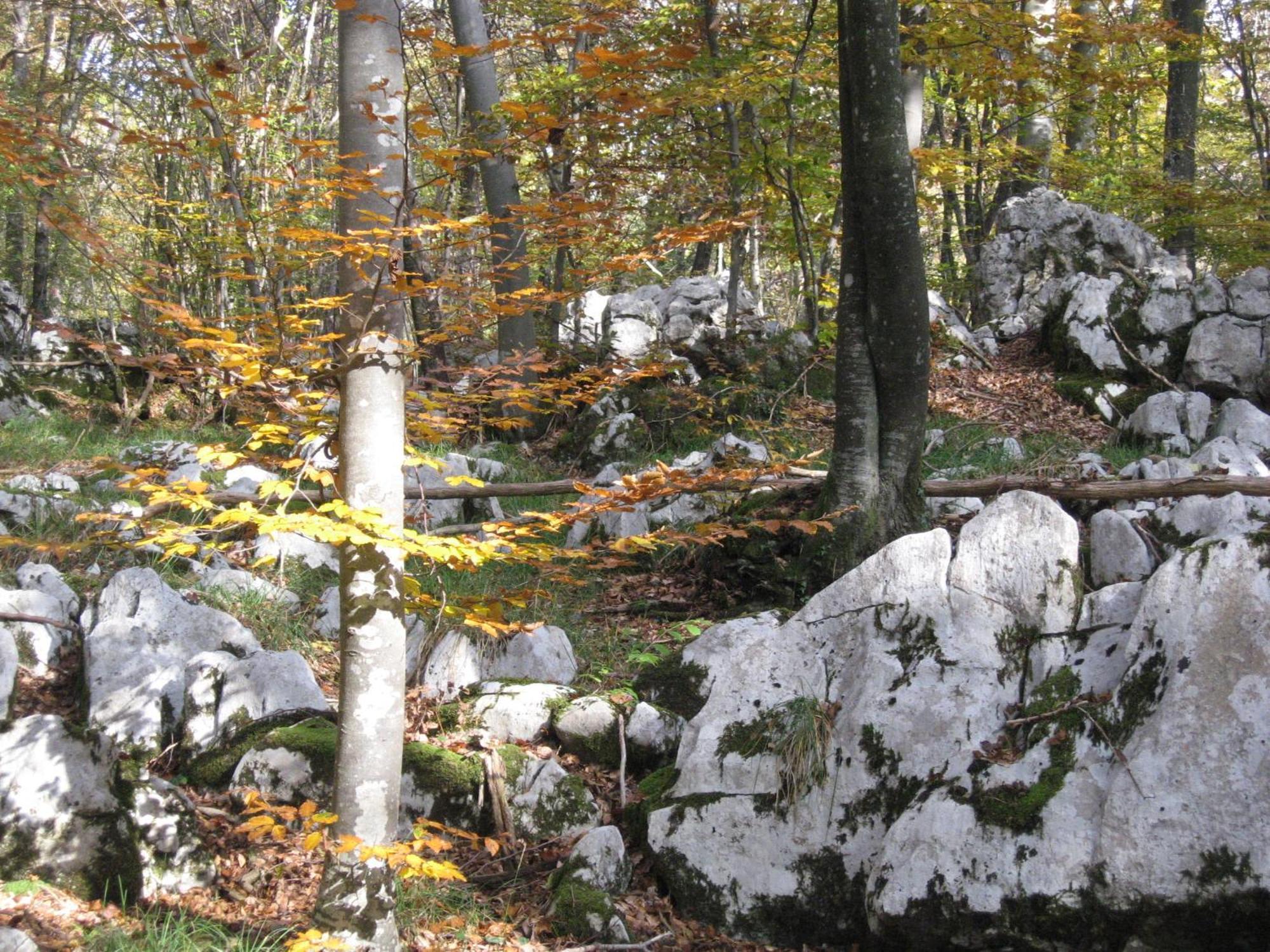 Pension Na Meji Pivka Esterno foto