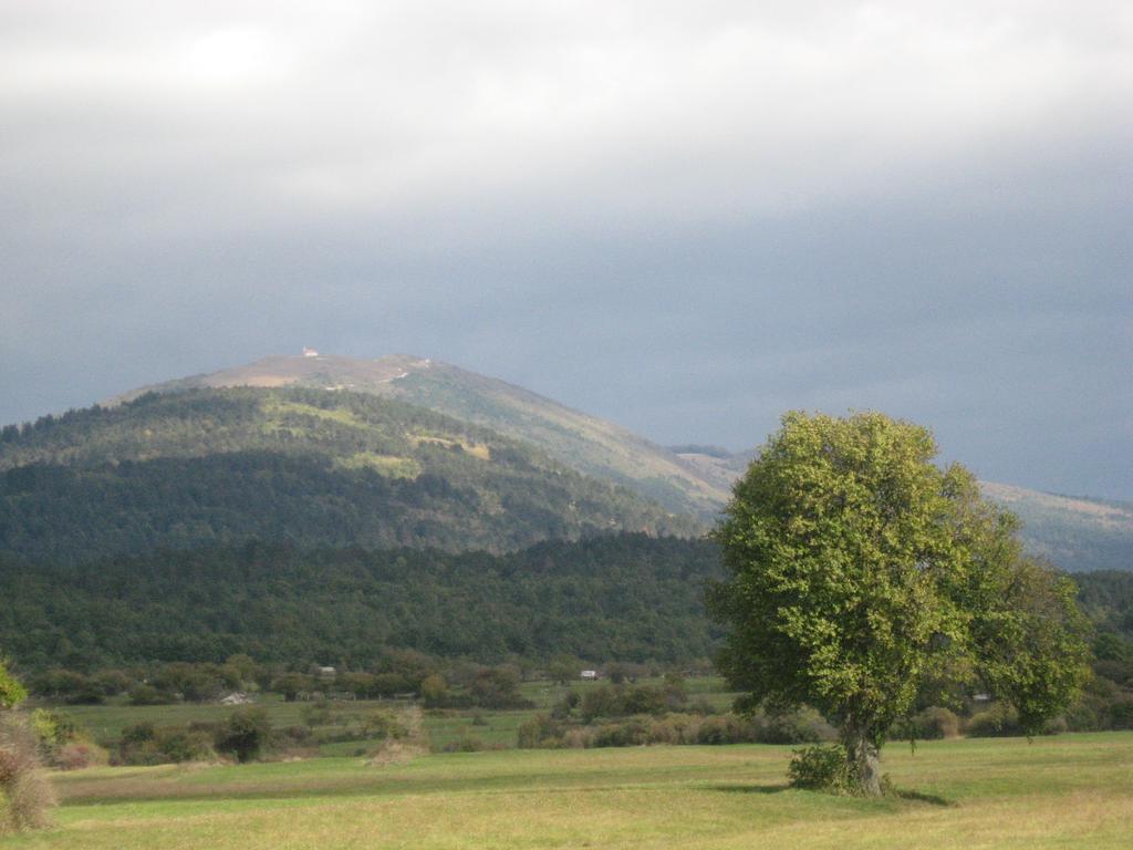 Pension Na Meji Pivka Esterno foto